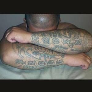 Meet your Posher, Fidel